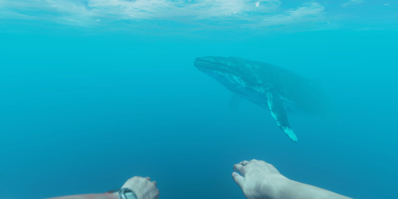 Stranded Deep Fshare