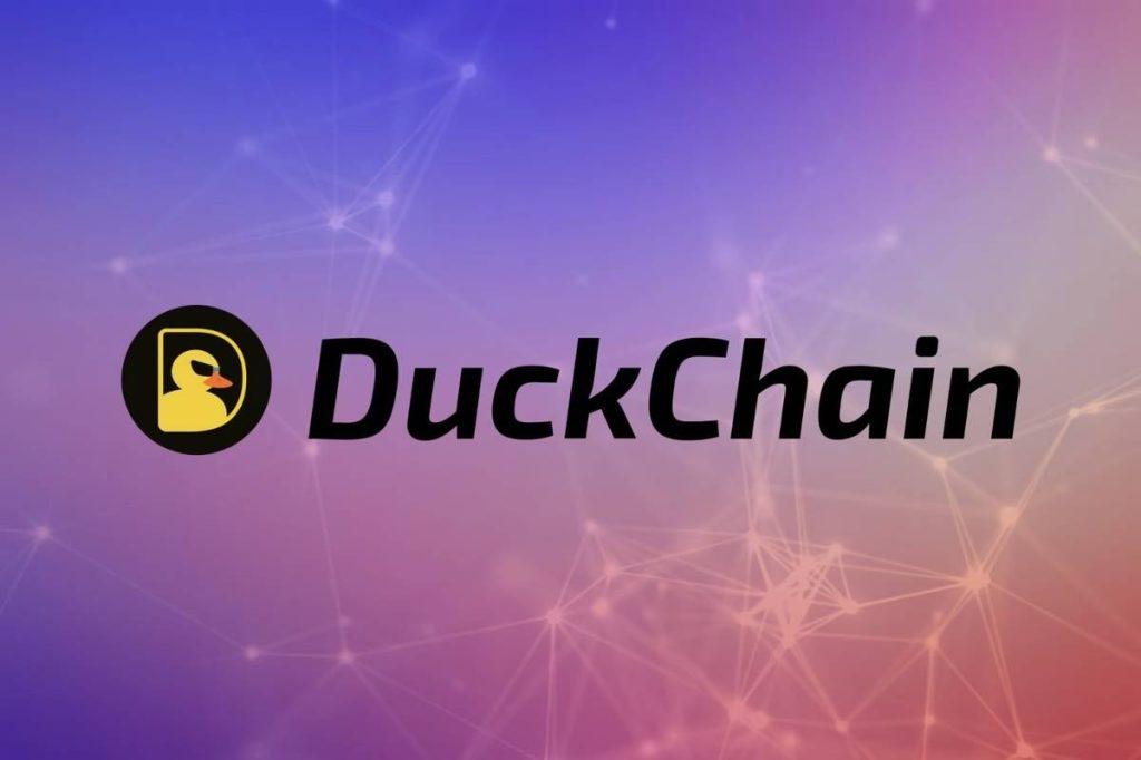 Duckchain là gì: bức tranh tổng quan cho người mới