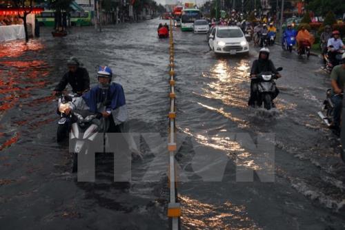 Thời Tiết Thành Phố Hồ Chí Minh: Tổng quan khí hậu