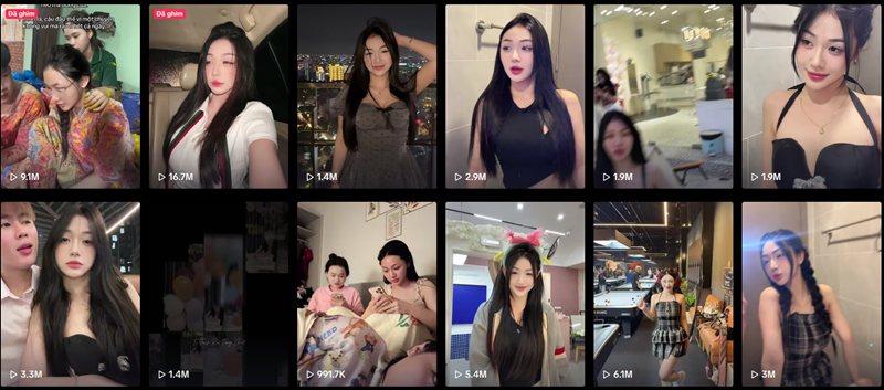 Vì sao cộng đồng vẫn quan tâm đến Trần Hà Linh?