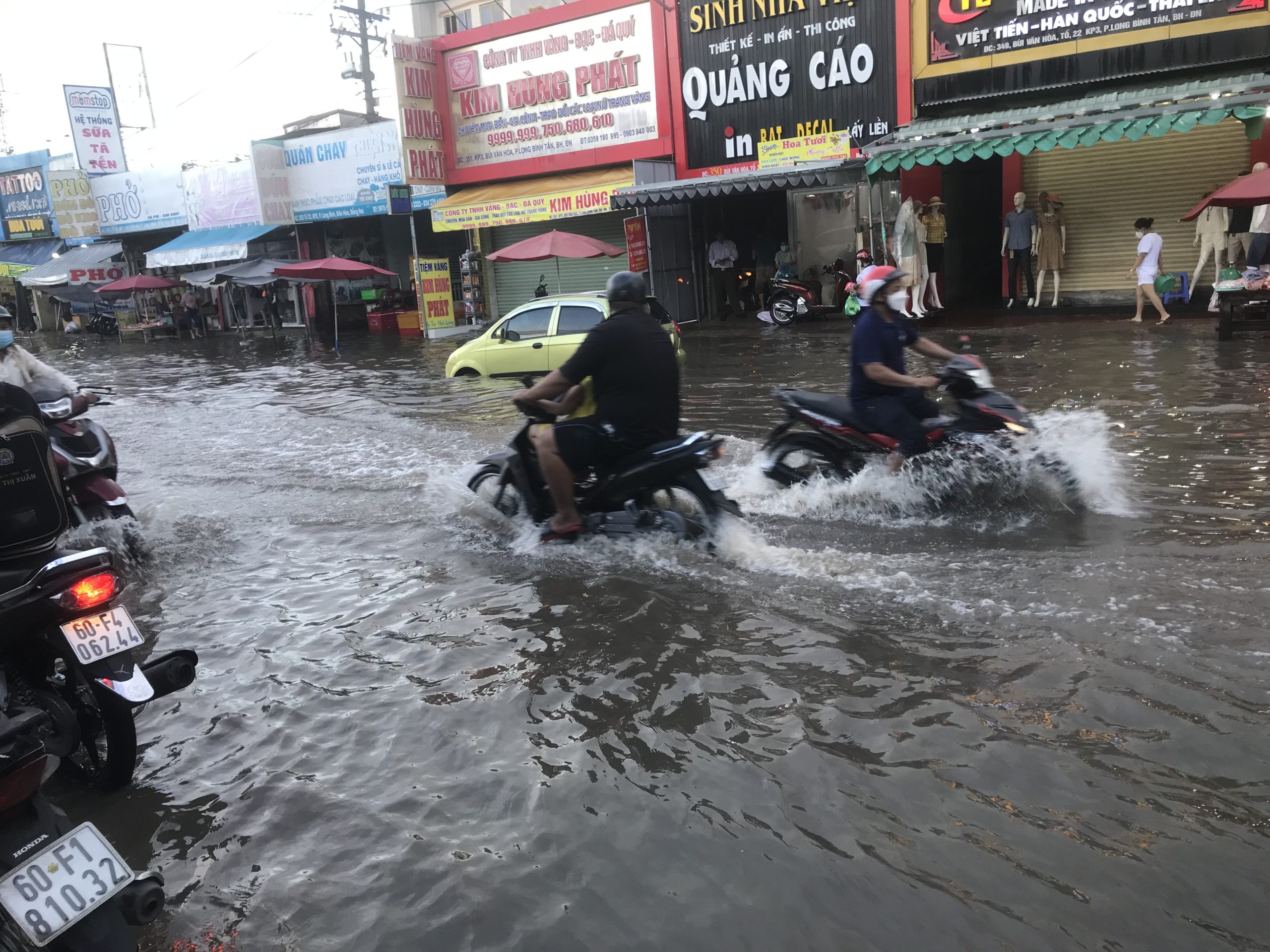 Dự báo dài hạn