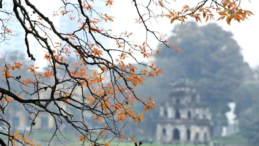 Trò chơi của google về năm ất tỵ - Chế độ chơi nhanh và thử thách hằng ngày Trò chơi của google về năm ất tỵ - Chế độ chơi nhanh và thử thách hằng ngày