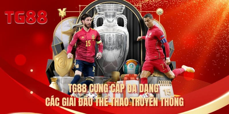 Các môn thể thao phổ biến tại TG88