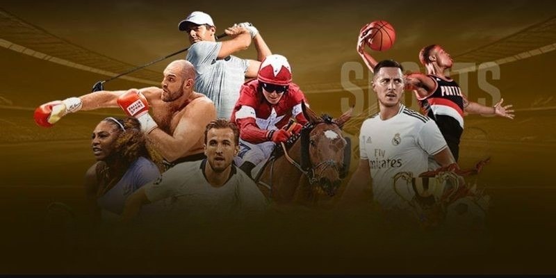 Lý do thể thao TG88 thu hút đông đảo người chơi