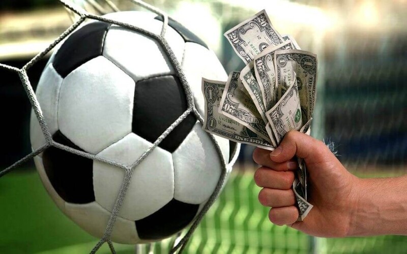 Tỷ lệ cá cược và bảng xếp hạng World Cup – Sự giao thoa giữa số liệu và cục diện sân cỏ