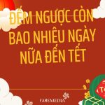 Bao Nhiêu Ngày Nữa Đến Tết: bản cập nhật nhanh