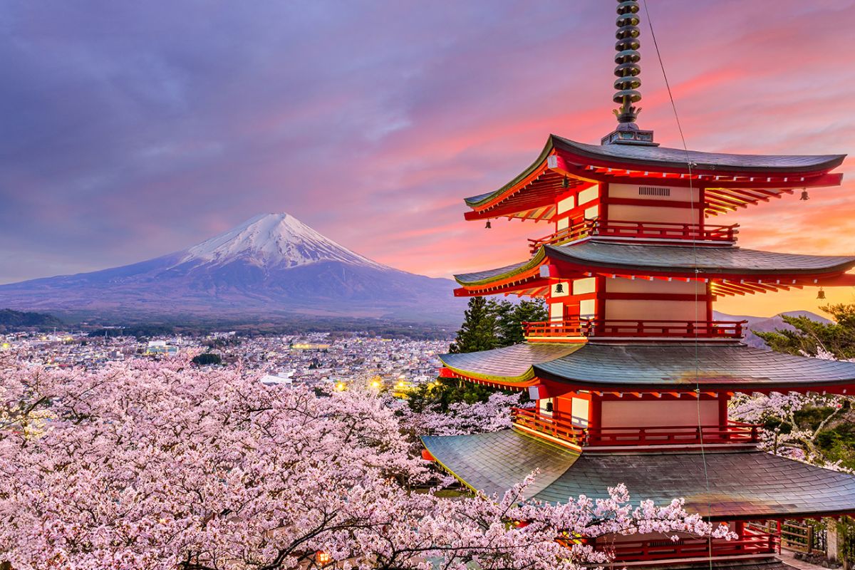 Hoa đào - Khám phá vẻ đẹp truyền thống của hoa đào ngày Tết Hoa đào - Khám phá vẻ đẹp truyền thống của hoa đào ngày Tết