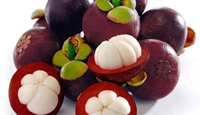 Măng cụt - Hợp chất chống oxy hóa nổi bật Măng cụt - Hợp chất chống oxy hóa nổi bật