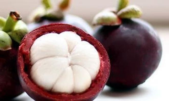 Măng cụt - Hỗ trợ miễn dịch và giảm viêm tự nhiên Măng cụt - Hỗ trợ miễn dịch và giảm viêm tự nhiên