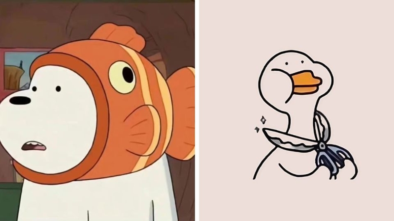 Ảnh vô tri - Cảm giác “không cảm xúc” nhưng lại gây cười Ảnh vô tri - Cảm giác “không cảm xúc” nhưng lại gây cười