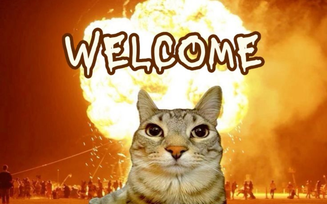 Ảnh vô tri - Khi lời ít nhưng biểu cảm đủ mạnh Ảnh vô tri - Khi lời ít nhưng biểu cảm đủ mạnh