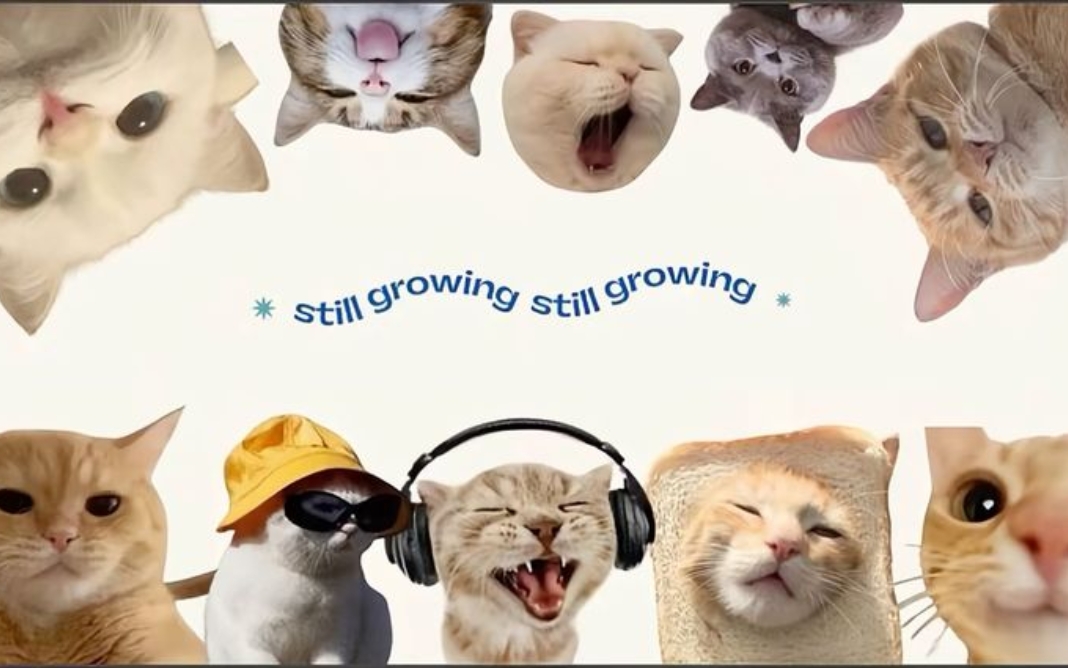 Ảnh vô tri - Dùng trong chat bạn bè và bình luận mạng xã hội Ảnh vô tri - Dùng trong chat bạn bè và bình luận mạng xã hội