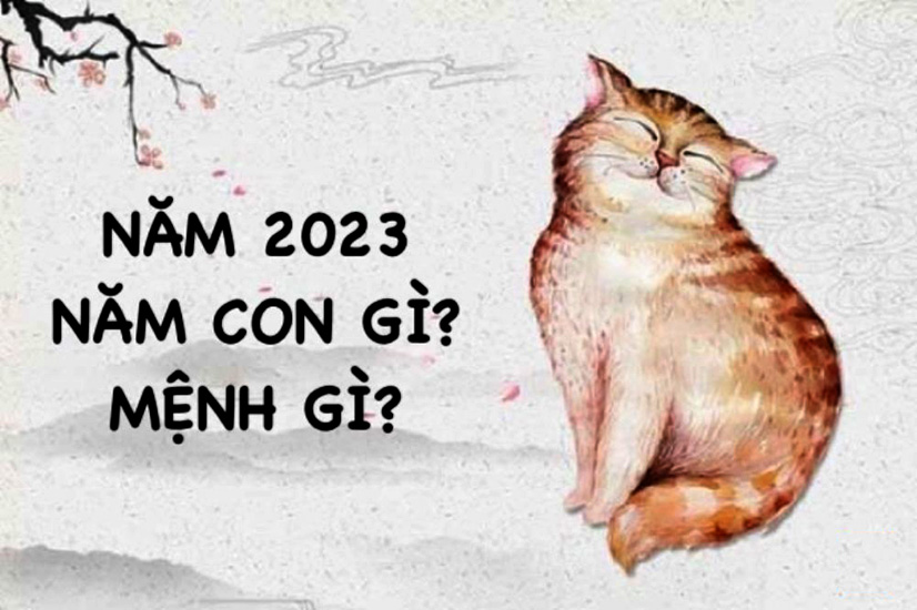 Năm 2023 là năm con gì - Quan niệm dân gian về năm Quý Mão Năm 2023 là năm con gì - Quan niệm dân gian về năm Quý Mão