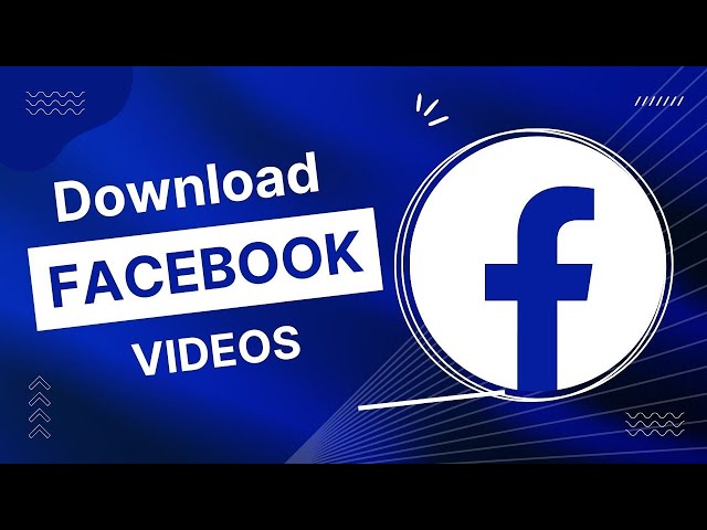 Snapsave - Giao diện đơn giản, dễ làm quen Snapsave - Giao diện đơn giản, dễ làm quen