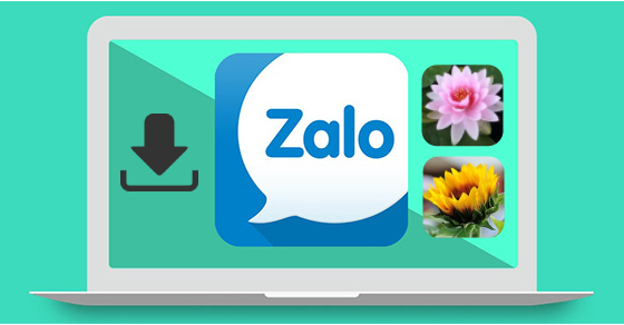 Zalo - Tổng quan về nền tảng nhắn tin quen thuộc Zalo - Tổng quan về nền tảng nhắn tin quen thuộc