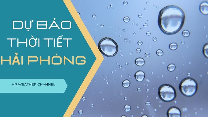 Windy - Khái niệm dễ hiểu cho người mới Windy - Khái niệm dễ hiểu cho người mới