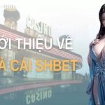 SHbet – Sân chơi giải trí hiện đại, công bằng và bảo mật tuyệt đối cho người chơi