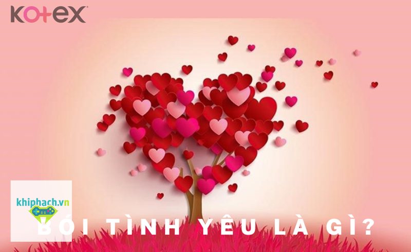 Bói tình yêu - Bói tình yêu là gì và vì sao được quan tâm? Bói tình yêu - Bói tình yêu là gì và vì sao được quan tâm?