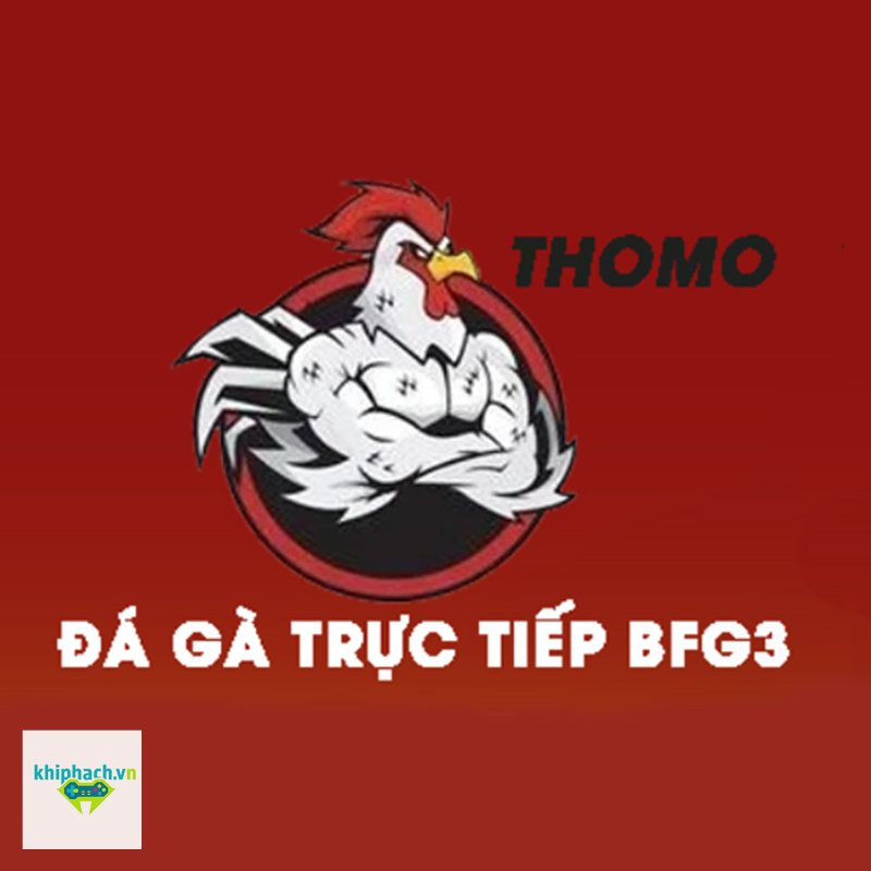 Trực tiếp đá gà - Trực tiếp đá gà là gì và vì sao được quan tâm? Trực tiếp đá gà - Trực tiếp đá gà là gì và vì sao được quan tâm?